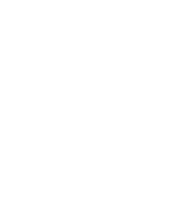 Cartographie transparente œil gauche